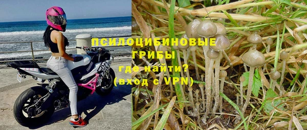 прущая мука Балахна